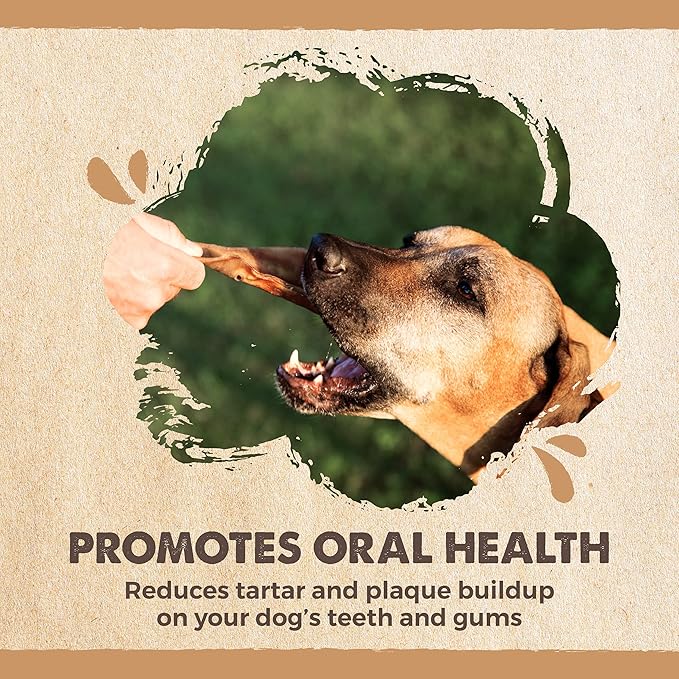 Mighty Paw Half Pig Ears Dog Chews | Natural Single-Ingredient Pork Treats | For All Breeds | 12 Count