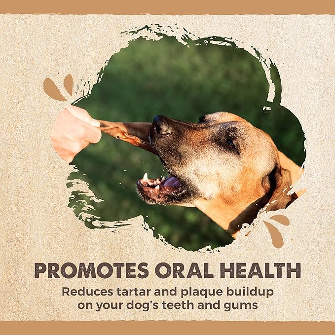 Mighty Paw Half Pig Ears for Dogs - All Natural Single Ingredient Pig Ear Treat - Better Than Rawhide Snacks for Puppies and Large Dogs - A Better Treat Dog Will Love - Dog Toys Compatible Chews