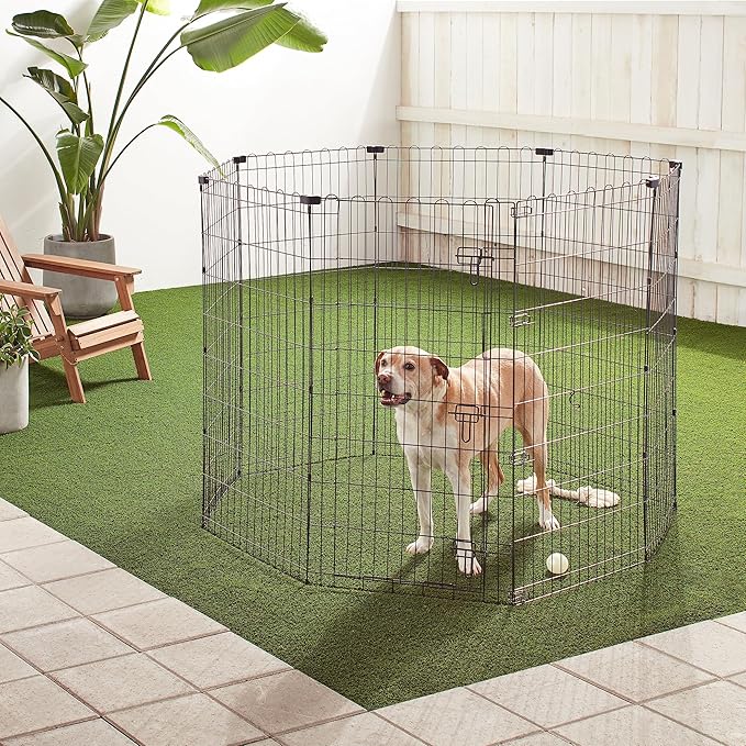Amazon Basics Foldable Octagonal Metal Exercise Pet Play Pen for Dogs, Fence Pen, Single Door, Black, 60 x 60 x 48 Inches