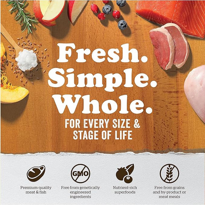 Now Fresh Wet Dog Food, 12.5 oz (12 Ct) - Grain Free Wet Dog Food - Shredded Lamb Recipe with Bone Broth Gravy - for Small, Medium and Large Breed Dogs