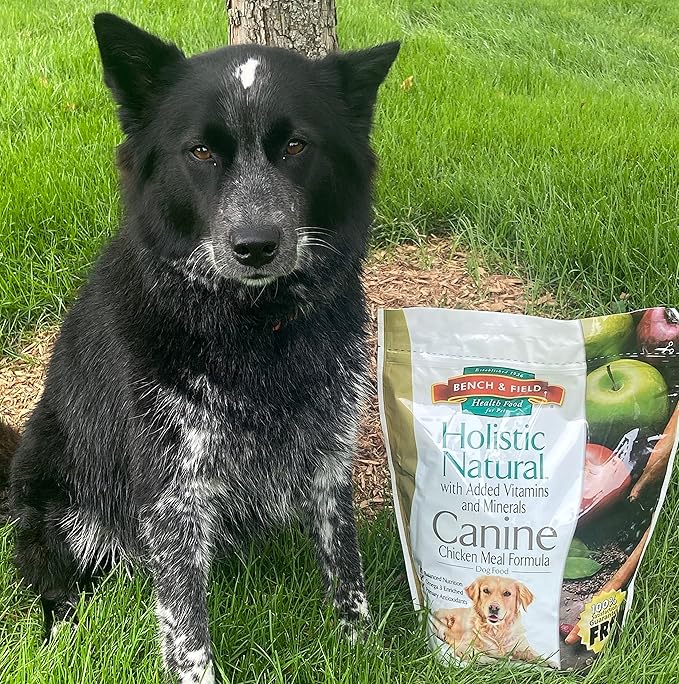 Bench & Field Holistic Natural Adult Dry Dog Food, Chicken Meal and Brown Rice Recipe 12 lb Bag (Pack of 1)