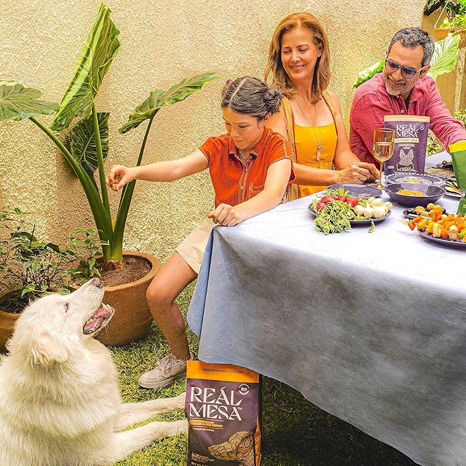 Real Mesa Premium Dry Dog Food - High Protein, Chef-Curated Adult Dog Nutrition, Mediterranean Chicken & Rice Entrée (10lbs)