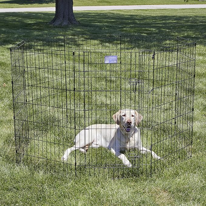 MidWest Homes for Pets Foldable MetalDog Exercise Pen / Pet Playpen, Black w/ door, 24'W x 42'H