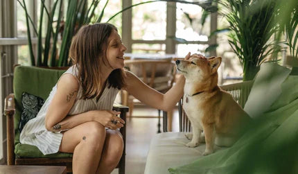 Dog owner feeding their dog safe, healthy food for optimal health and happiness.