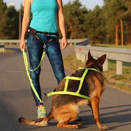 RUNNING HARNESS