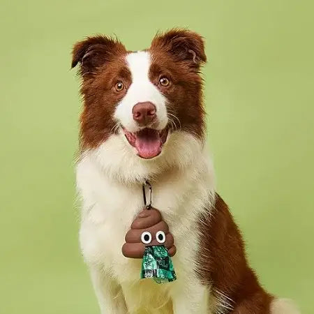 A dog is wearing a poop bag dispenser around its neck