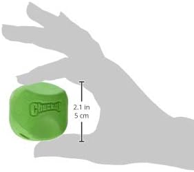 ChuckIt! Erratic Ball Dog Toy, Small, 2 Pack