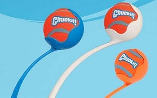 Chuckit Dog Tennis Ball Dog Toy, Large (3 Inch Diameter) for dogs 60-100lbs, Pack of 1