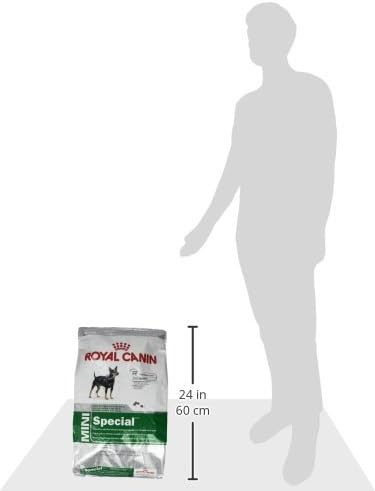 Royal Canin Small Digestive Care Dry Dog Food, 17 lb bag