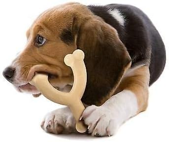 Nylabone Dura Chew Regular Original Flavored Wishbone Dog Chew Toy (2 Pack)