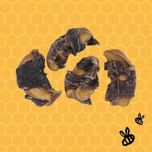 Honey I'm Home Honey Coated Buffalo Mango and Apple Jerky Dog Fruit Treats Variety Pack