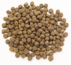 Muenster Grain Free with Salmon – Dry Dog Food or Mixer with Fish Protein - Complete and Balanced Kibble for Large, Medium or Small Breed Dogs, 22 lb