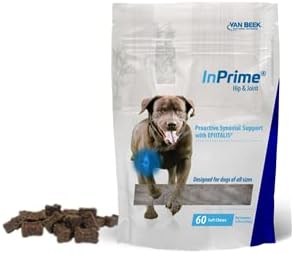 Hip and Joint Soft Chews for Dogs, 60 Count