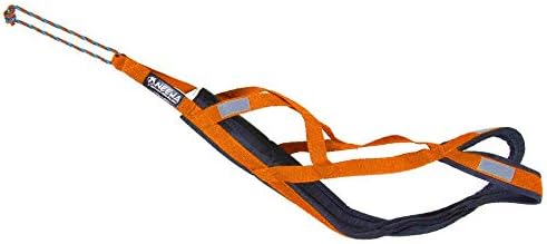 Neewa Sled Pro Harness (Large, Orange), Dog Pulling Harness, Husky Harness, Mushing Harness, X Back Harness Dog for Dog Exercise, Bikejoring, Skijoring, Dog Sledding, Canicross, Dog Harness