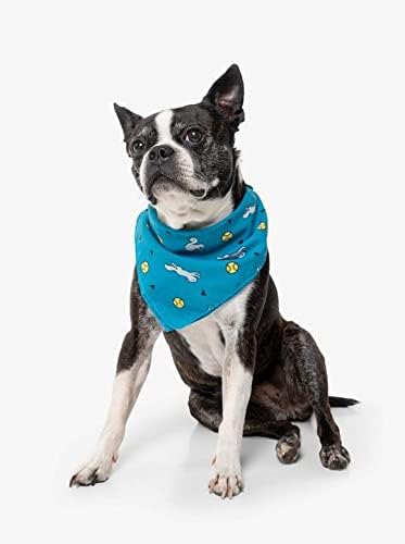 LP-1001-TEAL-OS: Ball & Squirrel Bandana, Teal, One Size