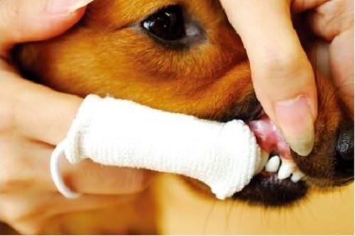 Microfiber Fingerbrush Oral Cleaner for Dogs, 4-Pack, Battery Powered, White