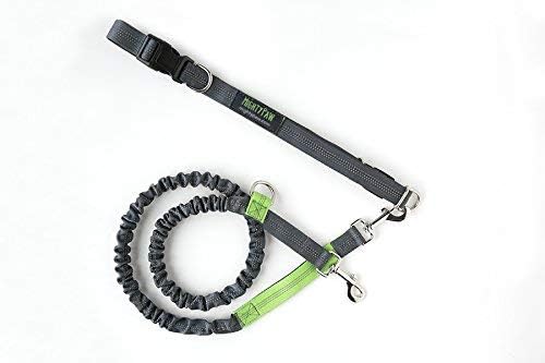 Mighty Paw Hands Free Dog Leash | Bungee Waist Leash for Dog Walking. Dog Running Leash Hands Free. Hands Free Leash for Large Dogs, Medium & Small Dogs. Dog Leash Waist Belt (36" - 48") Up To 150 lbs