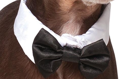 Rubie's Bowtie and Cuff Set Pet Accessories, Small/Medium
