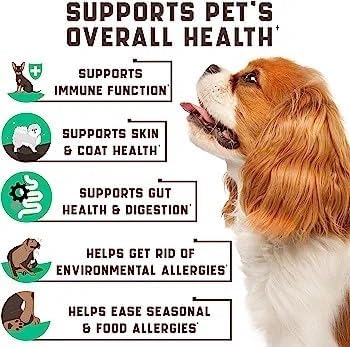 Pet Allergy and Itch Relief, Dog Allergy Chews, Intermittent Itchiness, Pet Probiotic, Seasonal Allergies - Anti Itch Support