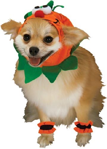 Rubie's Pet Costume, Medium, Pumpkin Headpiece with Cuffs