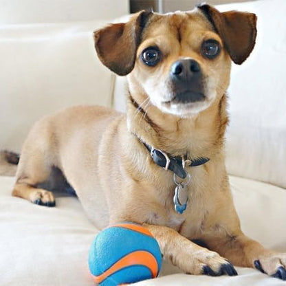 Chuckit Fetch Medley Dog Ball Dog Toys, Medium (2.5 Inch) Pack of 3, for Medium Breeds, Includes Erratic, Strato and Ultra Squeaker Balls