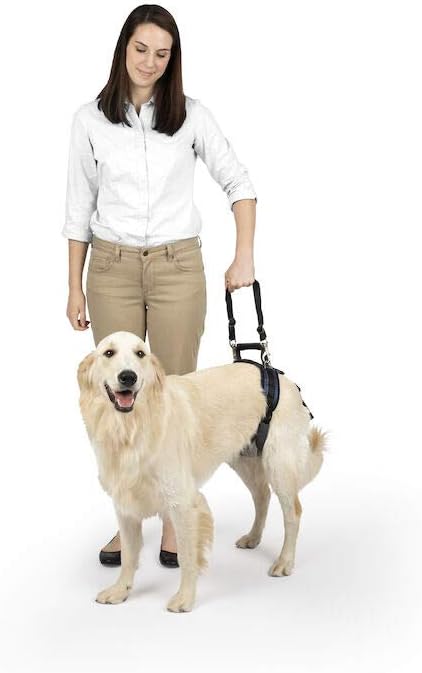 PetSafe Solvit Pet Lifting Aid for Rear Portion, Large, Black (62365)