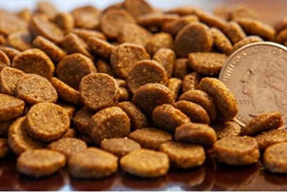 Grain Free Dog Food Made in USA [Grain Free Dry Dog Food with Superfood Ingredients for Food Sensitivities and Immune Health], Lamb & Turkey Meal Recipe, 4 lb. Bag, Brown (77070)
