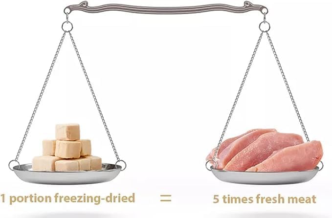 Fully Natural Organic Freeze Dried Dog/Cat Treats Food Toppers Single Ingredient, USA Made, Healthy, High Value, Gluten Grain Free, High Protein, Diabetic Friendly (1, Salmon)