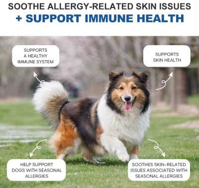 Dog Allergy Relief - Soft Chews for Skin & Seasonal Allergies - Anti Itch - Omega 3 Probiotics - Salmon Oil Digestive Health - Salmon Flavor - 120 Count (Seafood, Small)