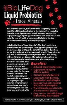 BioLifePet Liquid Probiotics for Dogs, Organic Dog Probiotic Supplements, Puppy and Dog Pet Probiotics, 4 Fl Oz (Pack of 1)