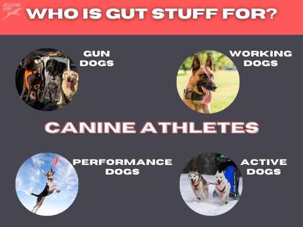 GUT STUFF by Helluva Dog — Digestive Aid Meal Topper for Active Sporting Dogs — Pumpkin & Slippery Elm for Dog's Upset Stomach & Better Gut Health, Packed with Fiber - 3oz