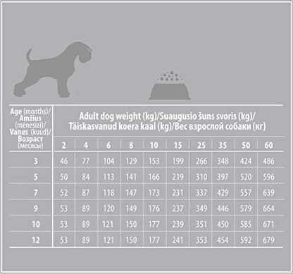 Nature's Protection Superior Care White Dogs Grain-Free Dry Dog Food for Junior Light Coated Dogs, Salmon, 3.3 lbs.