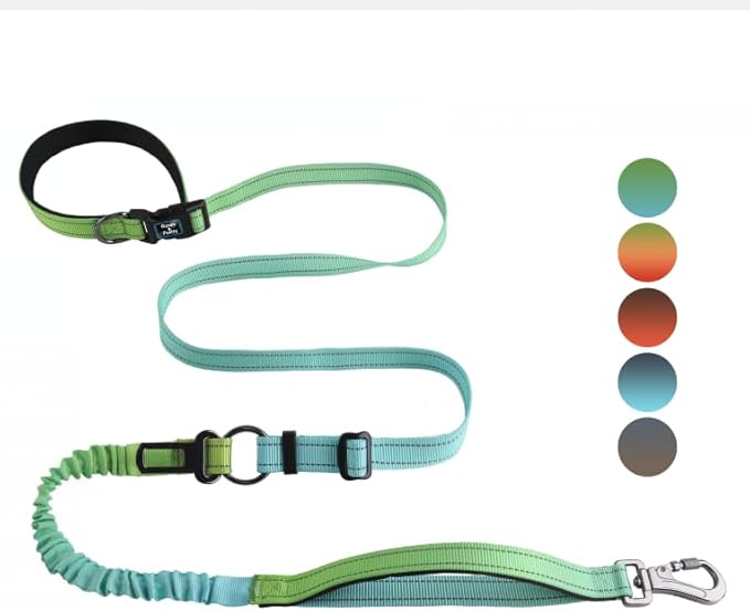 Roses&Poetry Dog Leashes for Large Dogs Heavy Duty,No Pull Bungee Dog Running Waist Leash for Walking Training with Car Seatbelt 4-6FT