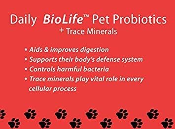 BioLifePet Liquid Probiotics for Dogs, Organic Dog Probiotic Supplements, Puppy and Dog Pet Probiotics, 4 Fl Oz (Pack of 1)