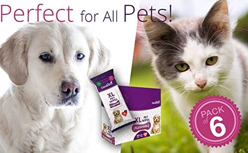 Premium Formulations XL Flushable Plant-Based, Earth-Friendly Pet Wipes (Bulk Buy - 1152 Wipes (24 Packs of 48 Ct))