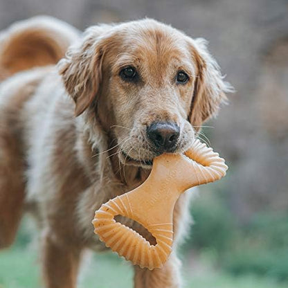 Benebone Dental Durable Dog Chew Toy for Aggressive Chewers, Real Chicken, Made in USA, Large