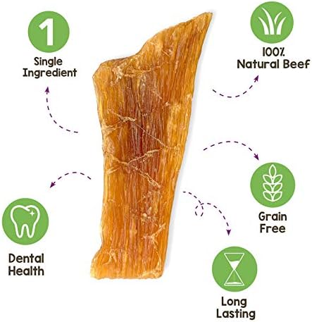 Nature Gnaws Paddywack Tendons for Dogs - Premium Natural Beef Dental Bones - Long Lasting Dog Chew Treats for Medium & Large Dogs - Rawhide Free 5-7 inch
