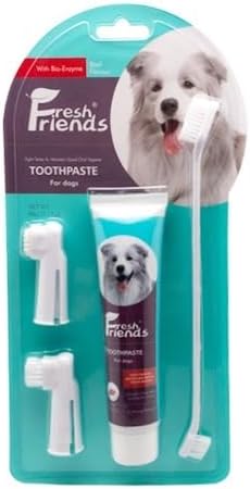 FRESH FRIENDS Enzymatic Dog Tooth Brushing Kit | Dog Toothbrush and Toothpaste | Puppy Tooth Brushing Kit | Dog Teeth Cleaning Kit | Improves Gum Health | Dog Dental Kit (Beef Flavor)