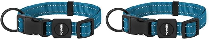 Best Pet Supplies Reflective Dog Collar with Adjustable Length, Heavy-Duty Buckle, and Strong Leash D-Ring, Training, Walking, Jogging Accessory for Small, Medium, and Large Breeds - Turquoise, S