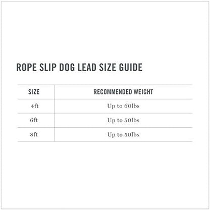 Martha Stewart Braided Rope & Leather Slip Lead for Dogs, Grey, 4'