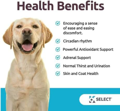 3mg Melatonin for Dogs - Adrenal Support and Sleep Support - 120 Peanut Butter Flavored Tablets - Dog Melatonin for Medium Size Dog Breeds