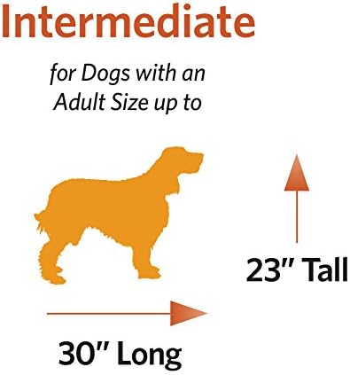 MidWest Homes for Pets Ultima Pro Series 36' Dog Crate | Extra-Strong Double Door Folding Metal Dog Crate w/Divider Panel, Floor Protecting 'Roller Feet' & Leak-Proof Plastic Pan