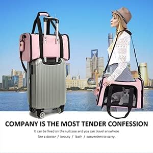 Cat Carrier Dog Carrier Pet Carrier Cat Bags for Small Medium Cats Dogs Puppies of 15 Lbs,of Airline Approved Small Dog Bag Soft Sided,Collapsible Travel Puppy Carrier (Large, Pink)