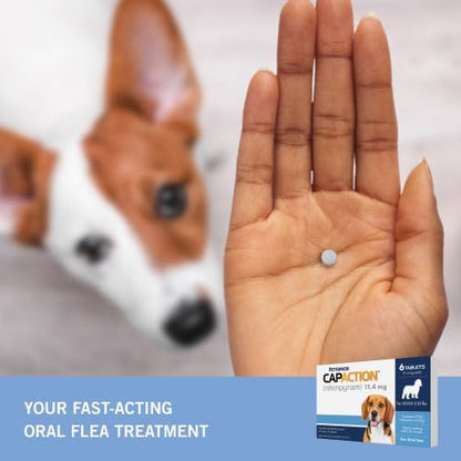 PetArmor CAPACTION Oral Flea Treatment for Dogs (6 Doses) + Bonus PetArmor Plus Topical Flea & Tick Treatment & Preventative for Dogs 5-22 lbs (1 Dose)