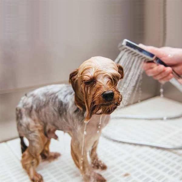 Natural Ingredients Flea Repellent Collar for Small Dogs,Safe and Effective Flea and Tick Repellent, Waterproof,8 Months Protection,Free Comb and Tick Scoop,Flea Repellent Drops,13.8 Inches,1-Pack