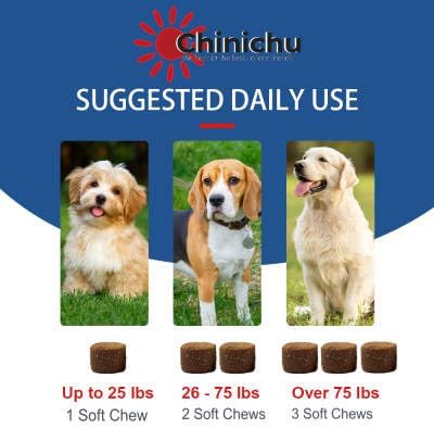 Dog Allergy Relief - Soft Chews for Skin & Seasonal Allergies - Anti Itch - Omega 3 Probiotics - Salmon Oil Digestive Health - Salmon Flavor - 120 Count (Seafood, Small)