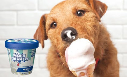 Pooch Creamery Ice Cream Mix for Dogs - Vanilla …