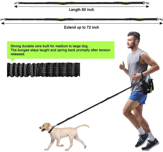 Retractable Bungee Hands Free Dog Leash with Zipper Pouch, Padded Waist Dog Leash, Dog Running Leash Handsfree with Dual Handles and Reflective Stitching for Walking Running Jogging Hiking, Waist Belt