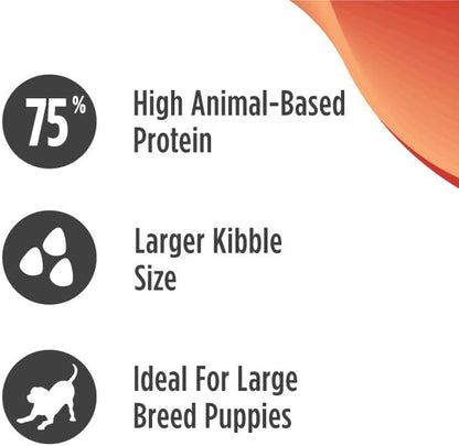 Nulo Freestyle Dry Puppy Food, Premium Grain-Free Larger Kibble to Support Proper Chewing, High Animal-Based Protein and Balanced Levels of Calcium & Phosphorus for Healthy Bone Development