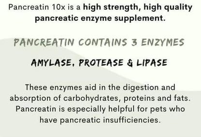 Pancreatin 10X - Pancreatic enzymes for Dogs and Cats (Made in USA) High Strength | Low Odor |10oz (285g)